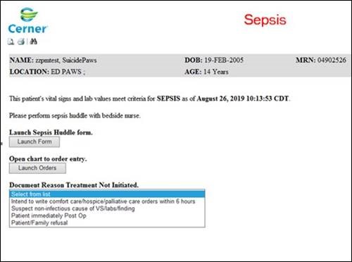 Sepsis Alert-ED Provider