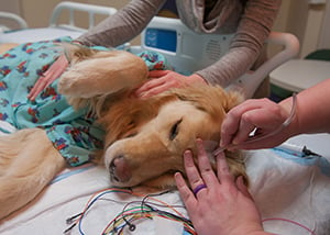 The EMU tech uses a small tube to dry the glue on Hope's head at Children's Mercy.