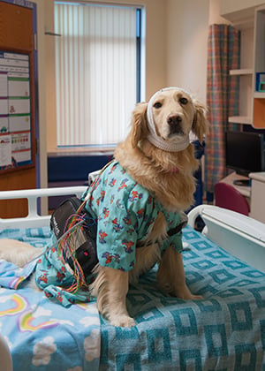 Hope shows what it looks like to be ready for testing in the EMU at Children's Mercy.