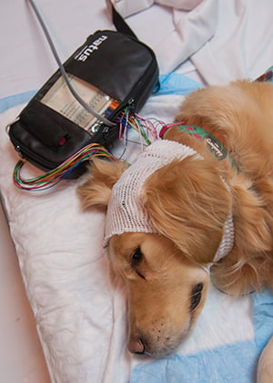 The EMU tech plugs wires in next to Hope at Children's Mercy.