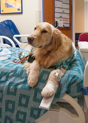 Hope demonstrates an IV in the EMU at Children's Mercy.