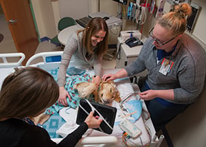 The EMU tech uses gauze on Hope at Children's Mercy.