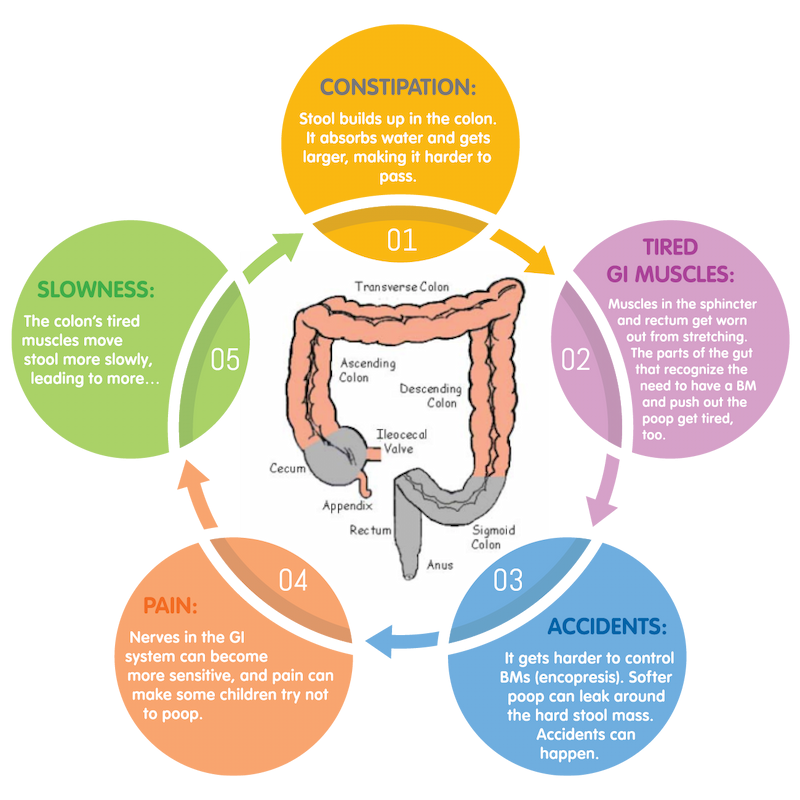 Continence In Kids, Constipation, What's 'Normal